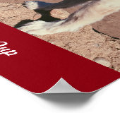 @SnaggleToofPup Poster (Hoek)