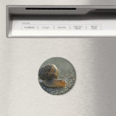 Snail 1 Magneet (Insitu (Vaatwasser))