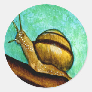 Snail 1 Sticker Sheet