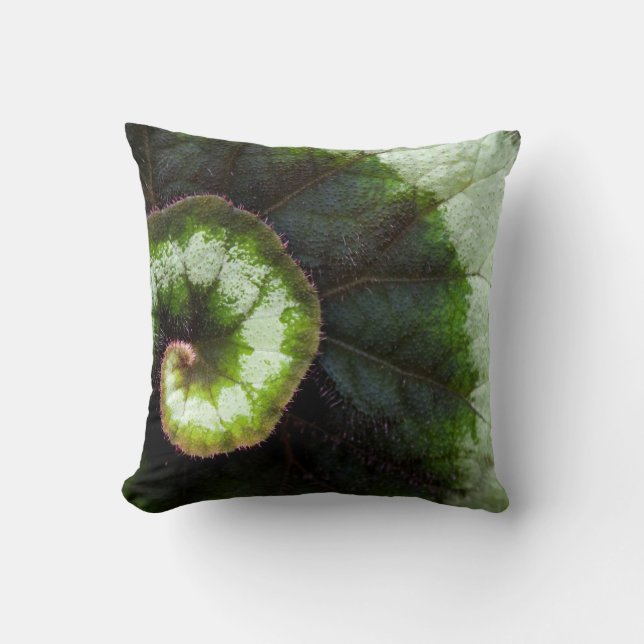 Snail Begonia Leaf Kussen (Voorkant)