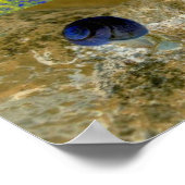 Snail Cepaea Pop Art Poster (Hoek)