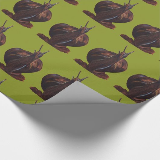 Snail Drawing Glossy Wrapping Paper, 30 in x 6 ft Cadeaupapier (Hoek)