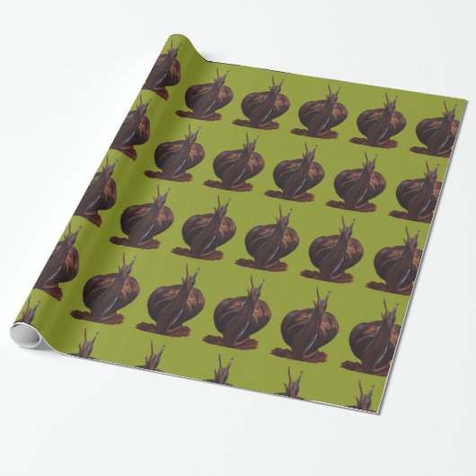 Snail Drawing Glossy Wrapping Paper, 30 in x 6 ft Cadeaupapier (Uitgerold)