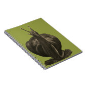 Snail Drawing Photo Notitieboek (80 pagina's B&W) (Rechterzijde)