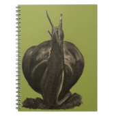 Snail Drawing Photo Notitieboek (80 pagina's B&W) (Voorkant)