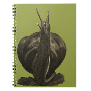Snail Drawing Photo Notitieboek (80 pagina's B&W)