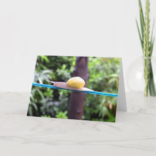 SNAIL EQUILIBRIST-kaart Kaart