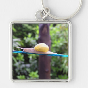 SNAIL EQUILIBRIST Sleutelhanger