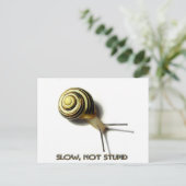 SNAIL MET KAPTIE VAN JUNGLEWALK.COM BRIEFKAART (Staand voorkant)