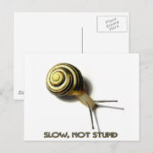 SNAIL MET KAPTIE VAN JUNGLEWALK.COM BRIEFKAART (Voorkant / Achterkant)