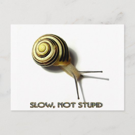 SNAIL MET KAPTIE VAN JUNGLEWALK.COM BRIEFKAART (Voorkant)