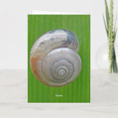 Snail nieuwe thuiskaart aankondiging (Achterkant)