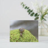 Snail op een hedgeappel #7 briefkaart (Staand voorkant)