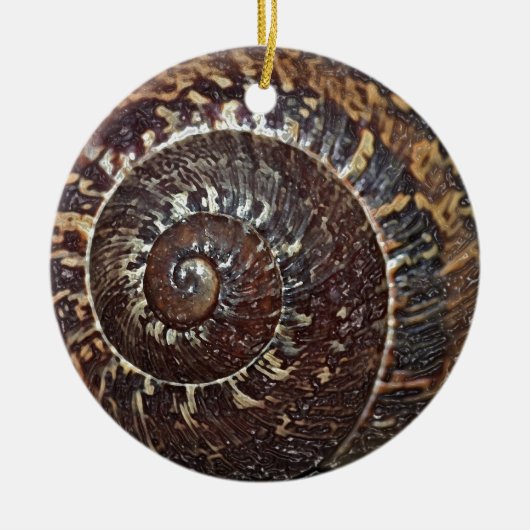 Snail Shell Ornament (Voorkant)