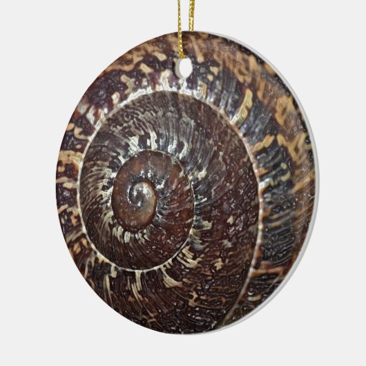 Snail Shell Ornament (Links)