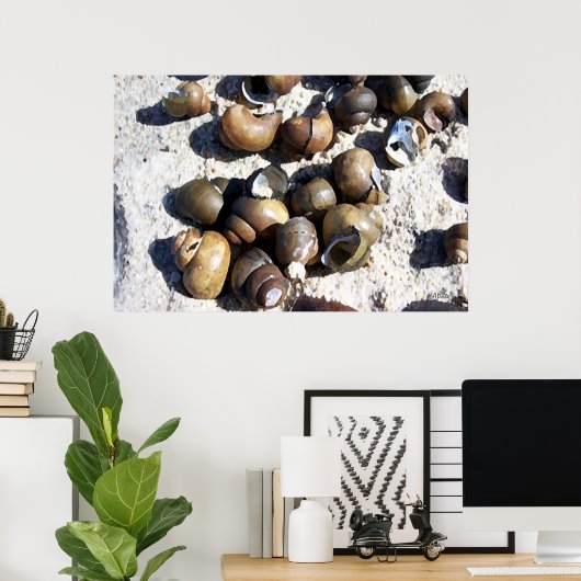 SNAIL Shells Poster (Thuiskantoor)