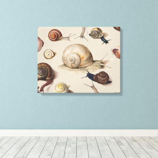 Snail Slug Garden Pet Gastropod Botanical Snails Canvas Afdruk (Insitu (Houten vloer))