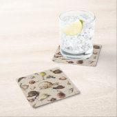 Snail Slug Garden Pet Gastropod Botanical Snails Kartonnen Onderzetters (Insitu)