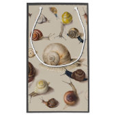 Snail Slug Garden Pet Gastropod Botanical Snails Klein Cadeauzakje (Achterkant)