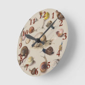 Snail Slug Garden Pet Gastropod Botanical Snails Ronde Klok (Hoek)