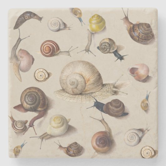 Snail Slug Garden Pet Gastropod Botanical Snails Stenen Onderzetter (Voorkant)