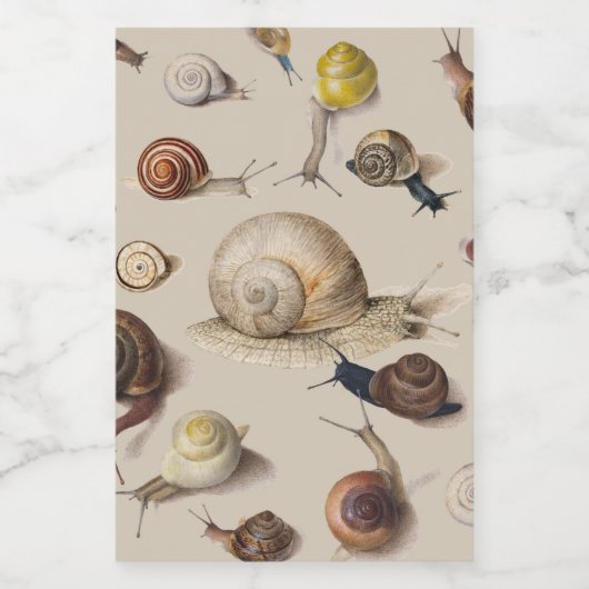 Snail Slug Garden Pet Gastropod Botanical Snails Voedselcontainer Etiket (Enkel label)