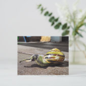 Snailephant Briefkaart (Staand voorkant)