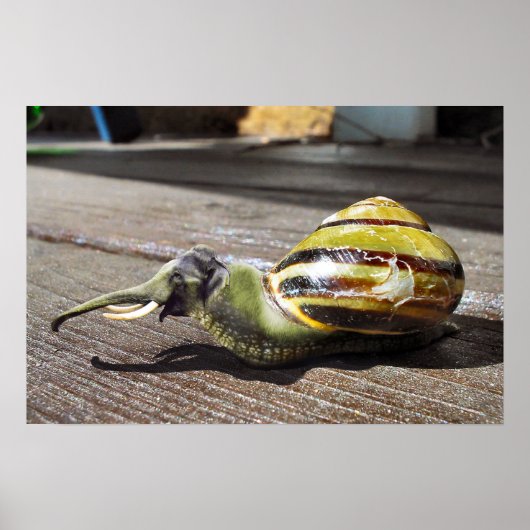 Snailephant Poster (Voorkant)