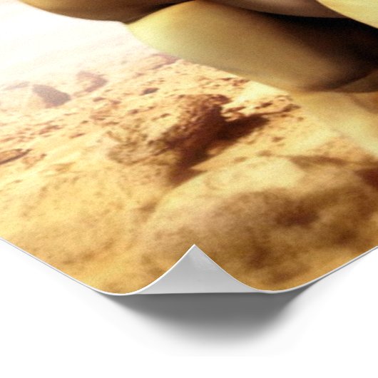 Snailmaster Poster (Hoek)