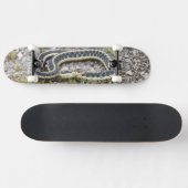Snake 7¾" Skateboard (Horizontaal)