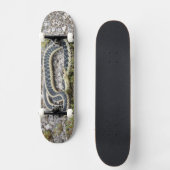 Snake 7¾" Skateboard (Voorkant)