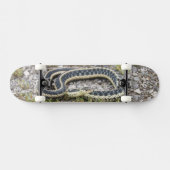Snake 7¾" Skateboard (Horizontaal)