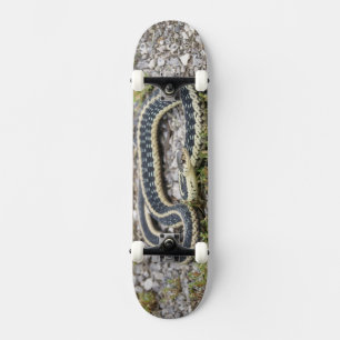 Snake 7¾" Skateboard