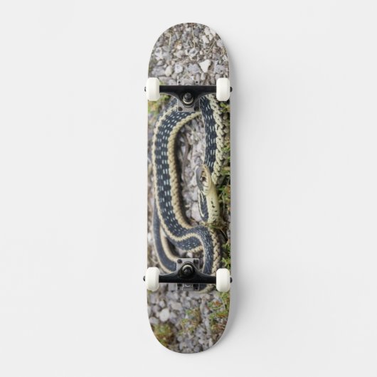 Snake 7¾" Skateboard (Voorkant)