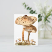 Snake Agaric Funghi Script  | Briefkaart (Staand voorkant)