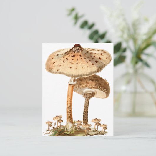 Snake Agaric Funghi Script | Briefkaart (Staand voorkant)