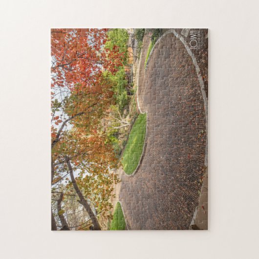 Snake Alley in Burlington, Iowa. Legpuzzel (Verticaal)