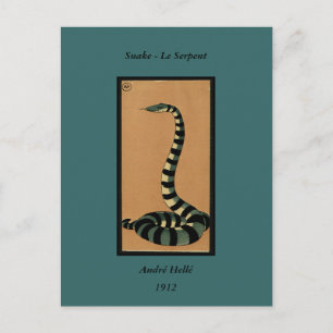 Snake - Antiquarian, Colorful Book Illustration Briefkaart