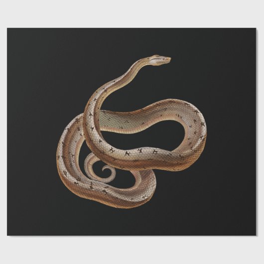 Snake - Black - Animal - Cadeaupapier (Vlak)