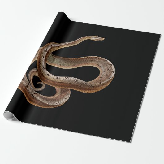 Snake - Black - Animal - Cadeaupapier (Uitgerold)