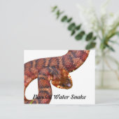 Snake Briefkaart (Staand voorkant)