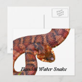 Snake Briefkaart (Voorkant / Achterkant)