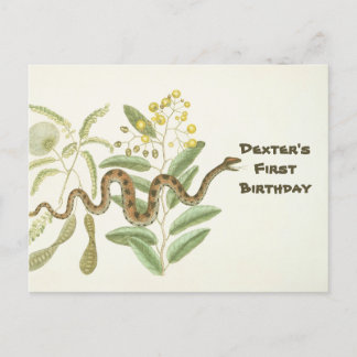 Snake Briefkaart