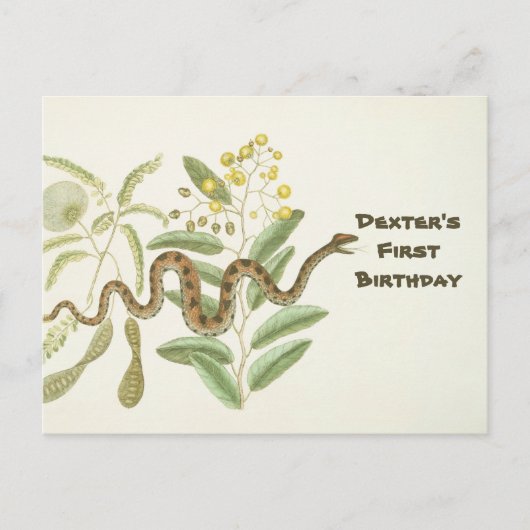 Snake Briefkaart (Voorkant)