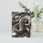 Snake Briefkaart (Staand voorkant)