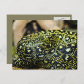 Snake Briefkaart (Voorkant / Achterkant)