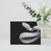 Snake Briefkaart (Staand voorkant)