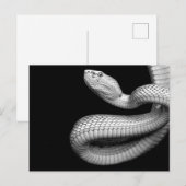 Snake Briefkaart (Voorkant / Achterkant)