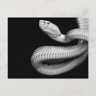 Snake Briefkaart
