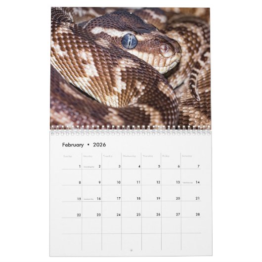 Snake Calendar 2026 Kalender (Feb 2026)